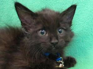 478cfb96-ca59-41c4-88e8-4f7206e744d1