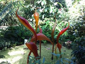 st louis botanical 3